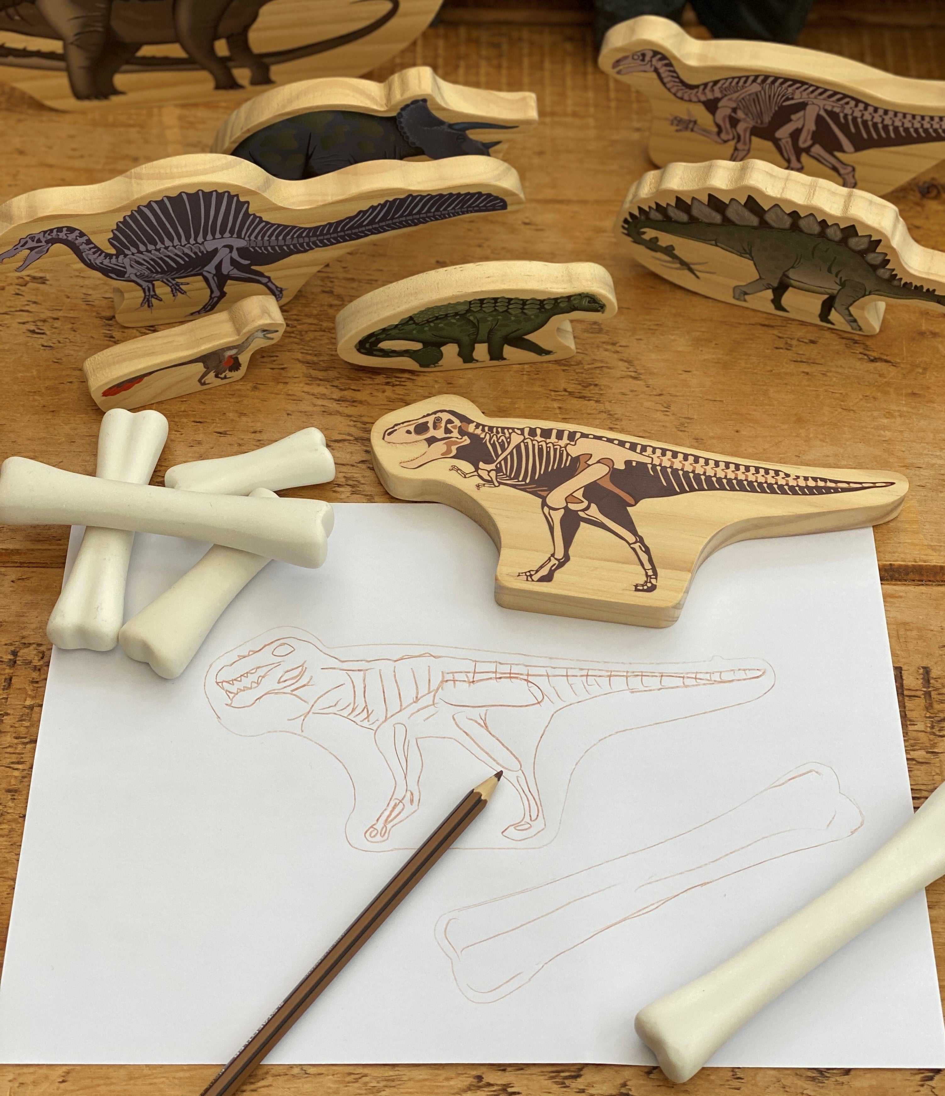 Wooden 2025 dinosaur skeleton